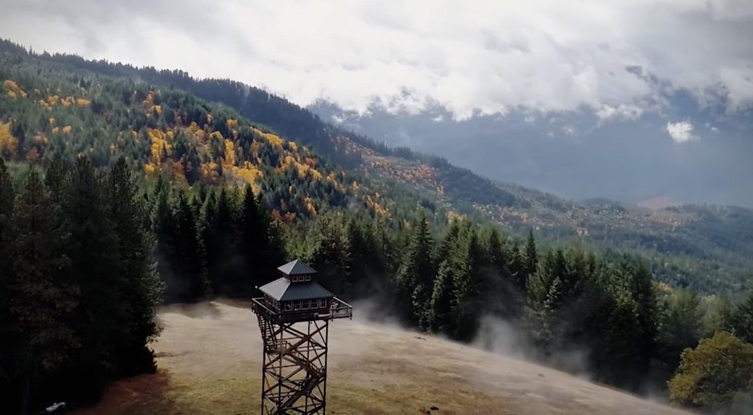 Na Airbnb możecie wynająć wieżę obserwacyjną z widokiem na góry i las