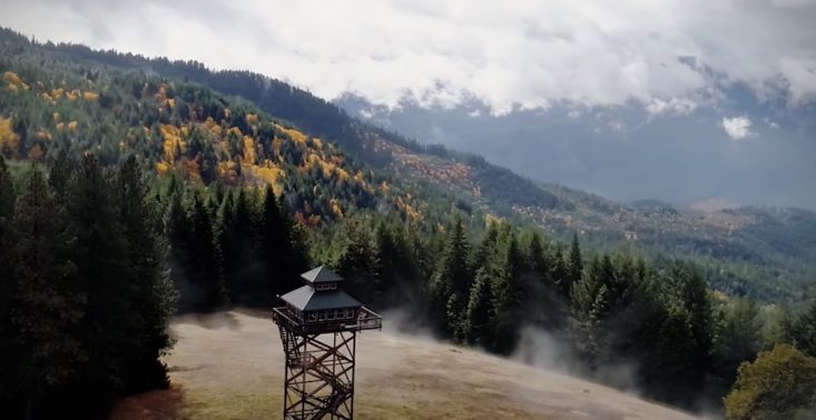 Na Airbnb możecie wynająć wieżę obserwacyjną z widokiem na góry i las<