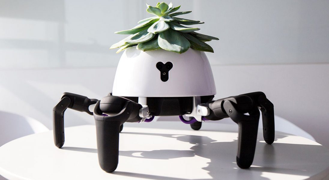 Ten ścigający słońce robot sam zaopiekuje się twoją rośliną