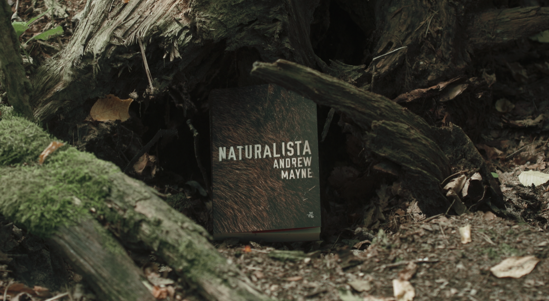 Tajemnicza eskapada Marcina Dorocińskiego i książki schowane w lasach. Wyjątkowa akcja z okazji polskiej premiery bestsellera